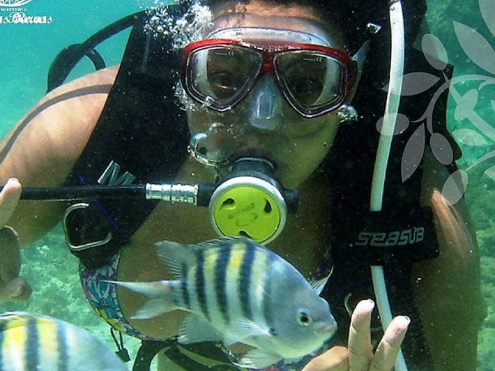 Foto de uma pessoa sob o mar, usando equipamentos de mergulho Crédito: Divulgação.